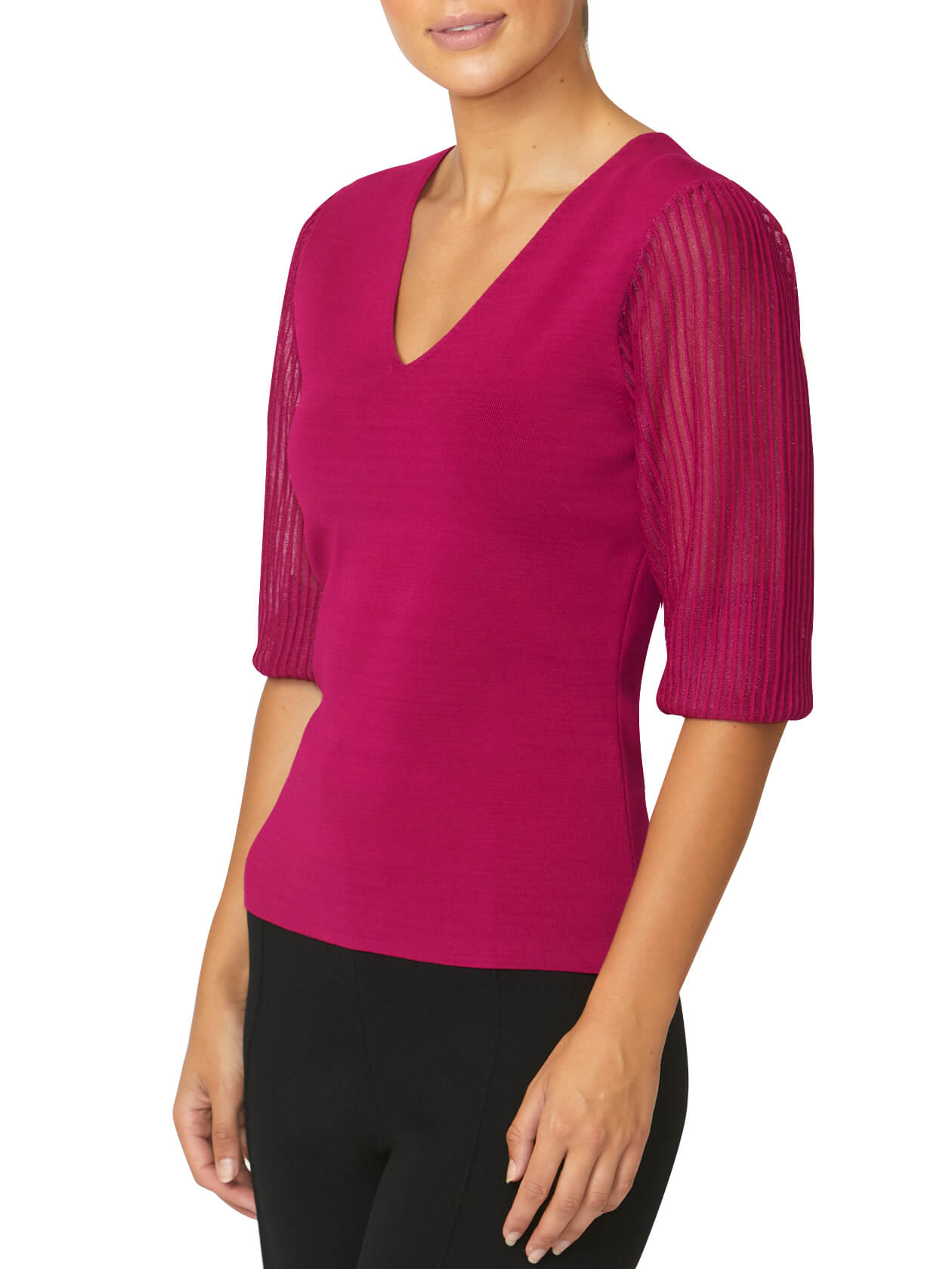 Emilie Fuchsia Sheer Sleeve Top