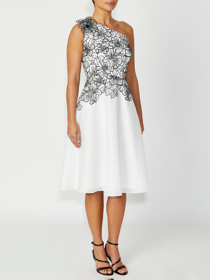 Women's Lace Fit & Flare Dress in Black | Celeste