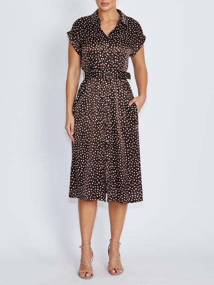 Abbey Brown Dot Dress