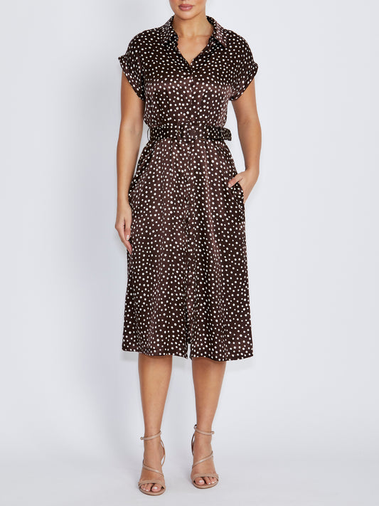 Abbey Brown Dot Dress