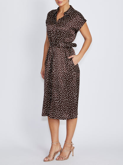Abbey Brown Dot Dress